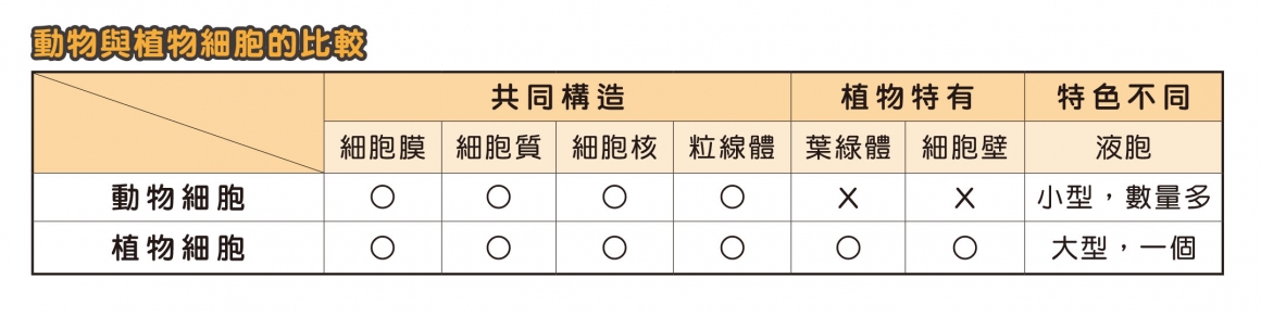 2020自然會考表格-2_0 2020自然會考表格-2_0